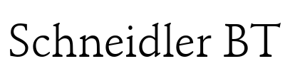 Schneidler BT