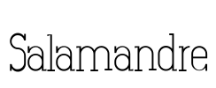 Salamandre Font Image