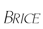 Brice Font Image