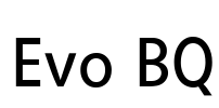 Evo BQ