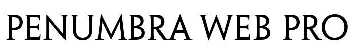 Penumbra Web Pro