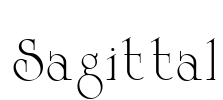 Sagittal Font Image