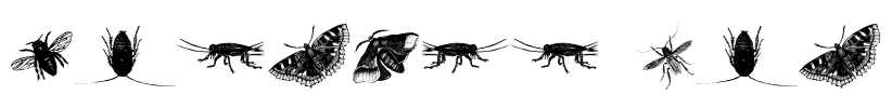 insects one