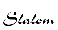 Slalom