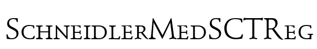 SchneidlerMedSCTReg Font Image