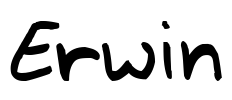 Erwin Font Image