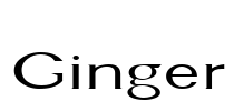 Ginger Font Image