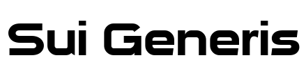 Sui Generis Font Image