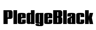 PledgeBlack