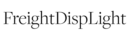 FreightDispLight