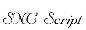 SNC Script Font Image