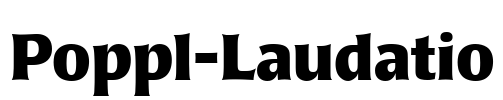 Poppl-Laudatio