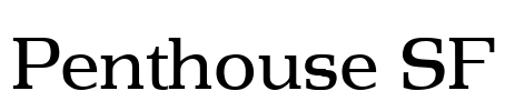 Penthouse SF