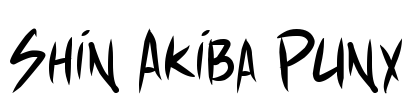 Shin Akiba Punx Font Image