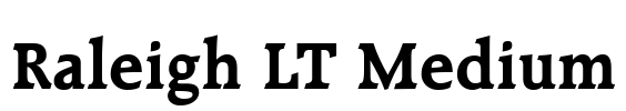 Raleigh LT Medium