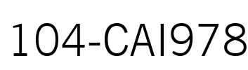104-CAI978 Font Image