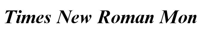 Times New Roman Mon