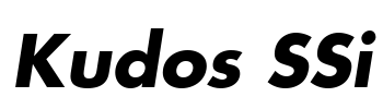 Kudos SSi Font Image