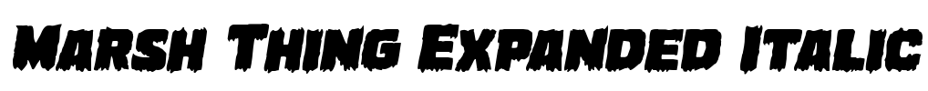 Marsh Thing Expanded Italic Font Image