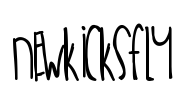 NewKicksFly