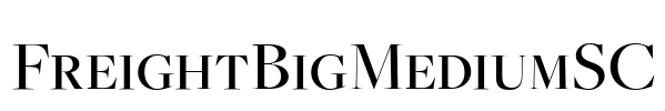 FreightBigMediumSC Font Image