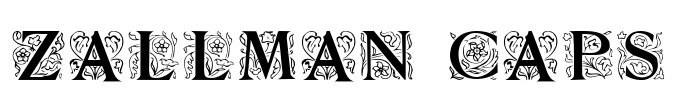 Zallman Caps