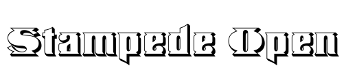 Stampede Open Font Image