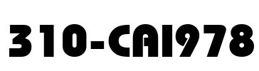 310-CAI978