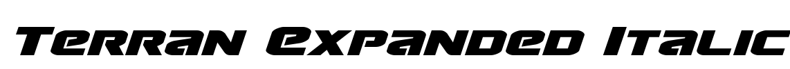 Terran Expanded Italic Font Image