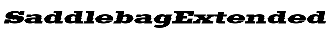 SaddlebagExtended