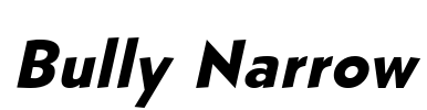 Bully Narrow