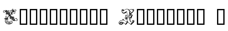 Ornamental Initials X Font Image