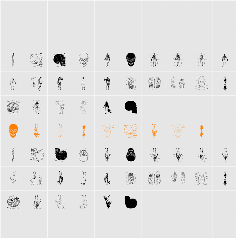 TaxTaxation Character Map