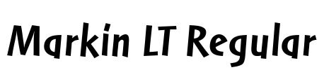 Markin LT Regular