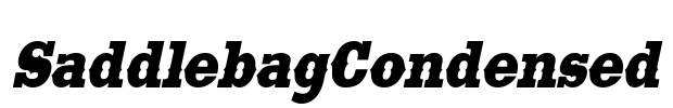 SaddlebagCondensed