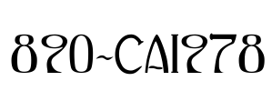 890-CAI978