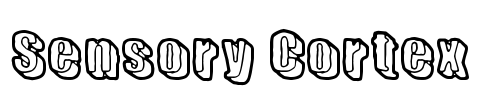 Sensory Cortex Font Image