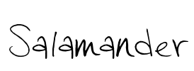 Salamander