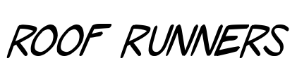 Roof runners
