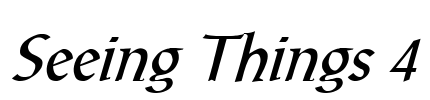 Seeing Things 4