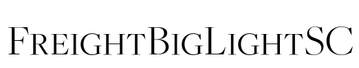 FreightBigLightSC