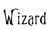 Wizard