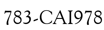 783-CAI978 Font Image
