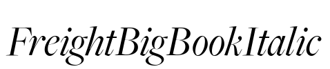 FreightBigBookItalic