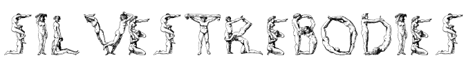 SilvestreBodies Font Image