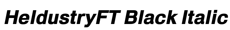 HeldustryFT Black Italic Font Image