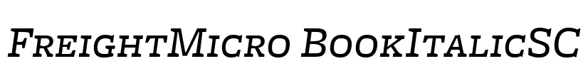 FreightMicro BookItalicSC