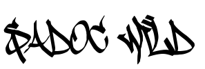 Sadoc Wild Font Image