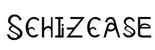 Schizcase