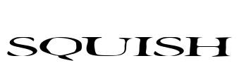 Squish Font Image